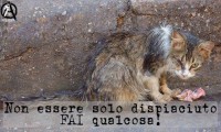 ...non essere soltanto dispiaciuto, fai qualcosa .. 